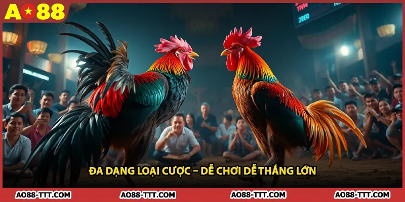 Đa dạng loại cược – Dễ chơi dễ thắng lớn